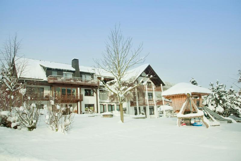 Haus Alexandra Inkl Meinecard Plus Виллинген Экстерьер фото