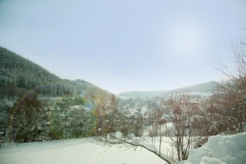 Haus Alexandra Inkl Meinecard Plus Виллинген Экстерьер фото