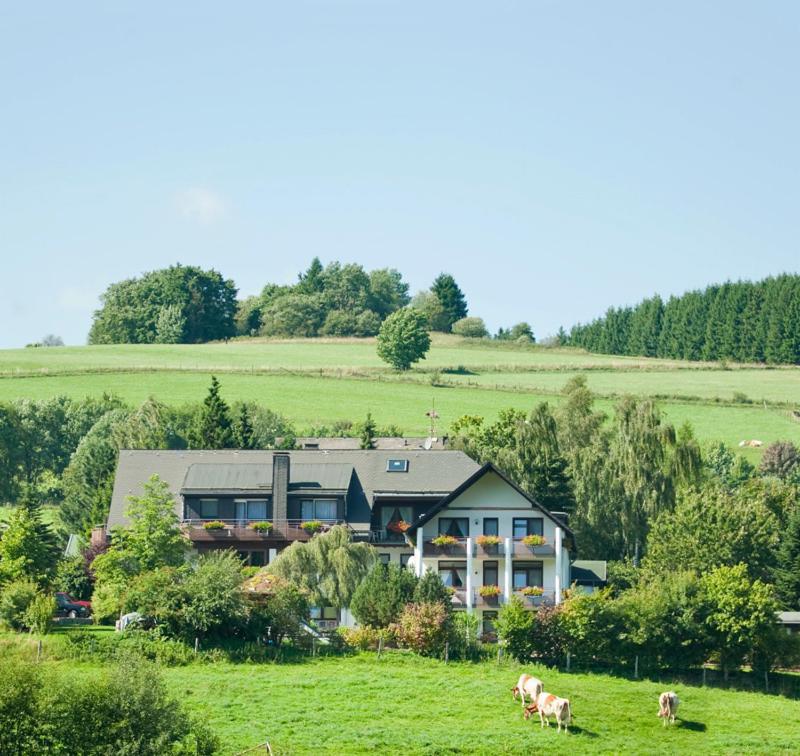 Haus Alexandra Inkl Meinecard Plus Виллинген Экстерьер фото